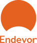 Endevor SR - Flat Logo Avatar - Orange